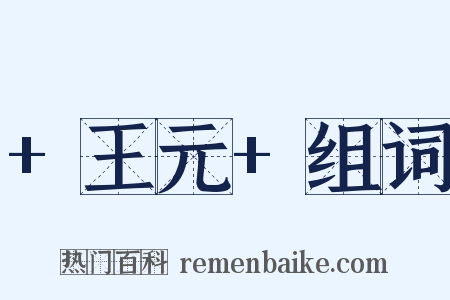 +王元+组词是什么意思的图片